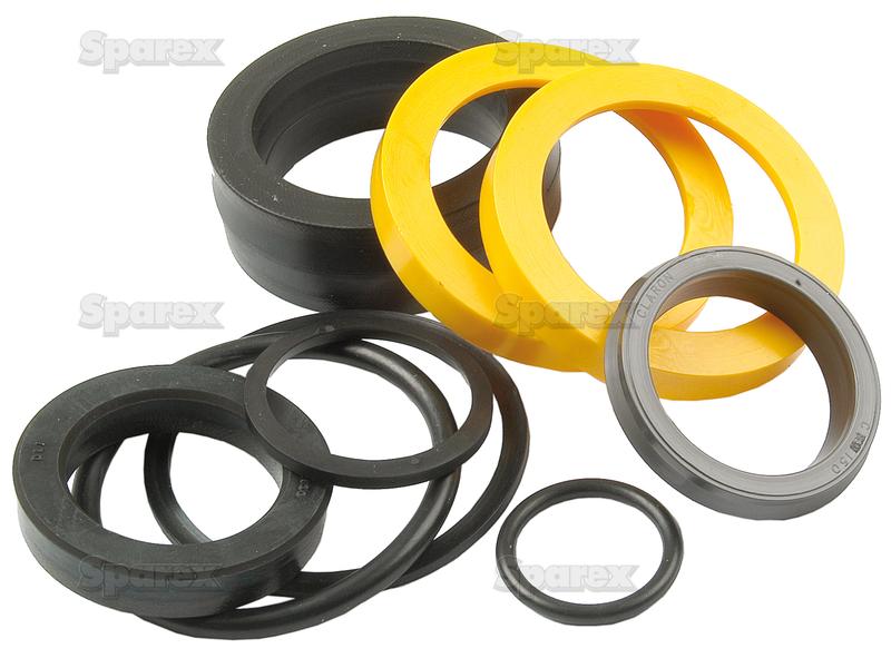 Seal Kit S.41813 1810301M91,