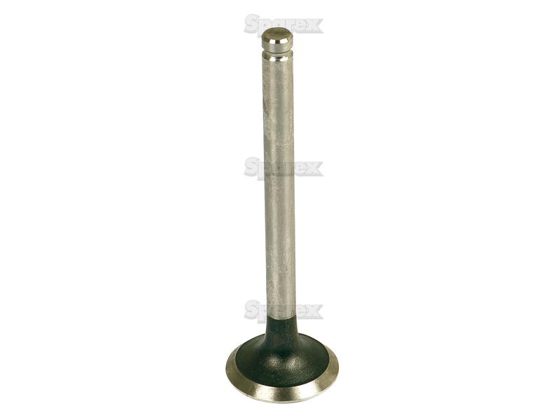 Exhaust Valve Standard-S.40488-3458