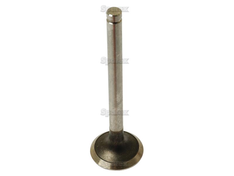 Exhaust Valve Standard-S.41745-4632