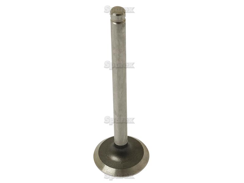 Exhaust Valve Standard-S.41820-4677