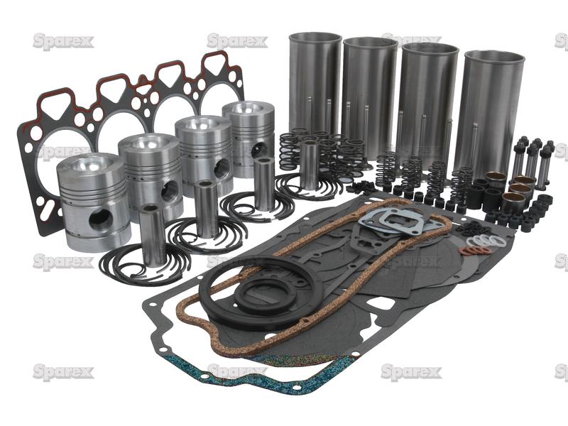 Engine Overhaul Kit with Valve Train-S.41890-4801