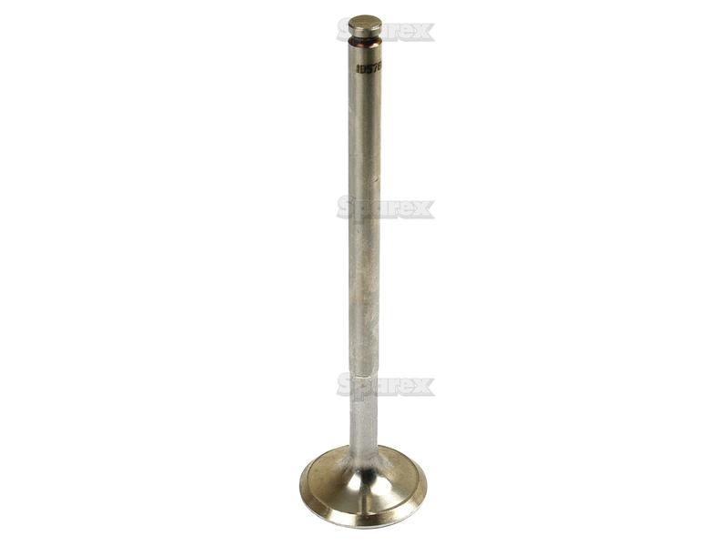 Intake Valve-S.57603-6391