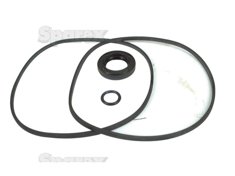 Seal Kit (Hydraulic Pump)-S.57972-6642
