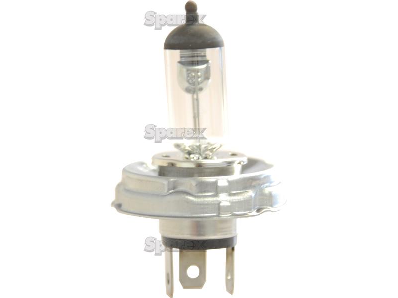 Head Light Bulb (Filament) 12V, 55W, P45t-S.109981-12501