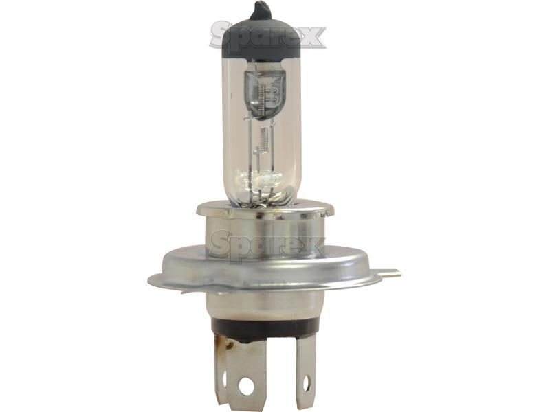Head Light Bulb (Halogen) 12V, 60/55W, P43t-S.109987-12502