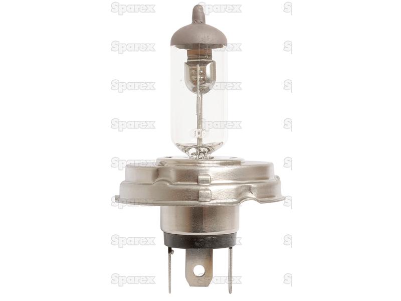 Head Light Bulb (Halogen) 12V, 55W, P45t-S.5090-16295