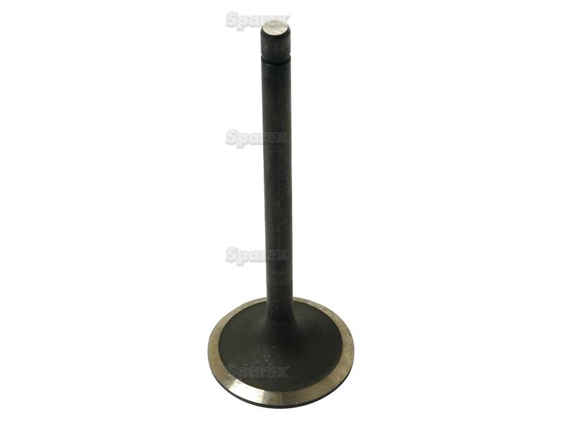Intake Valve-S.62057-7844