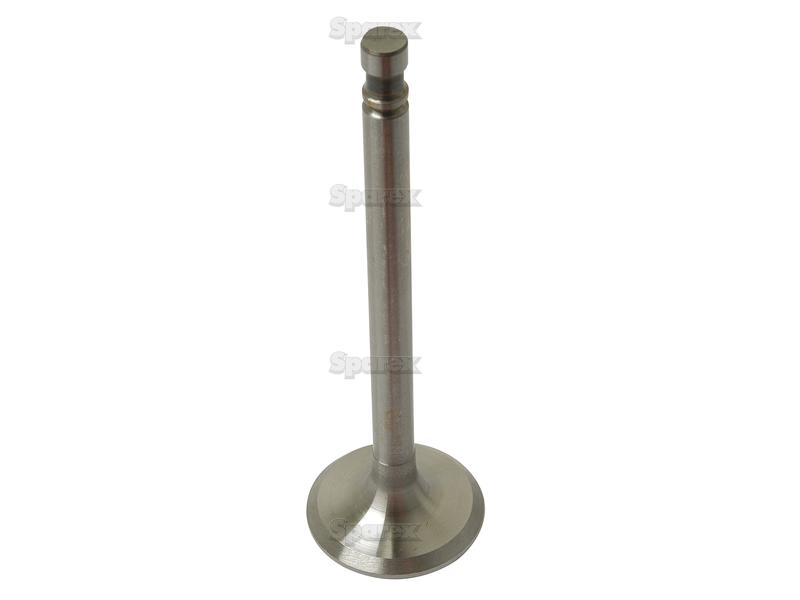 Intake Valve-S.62350-8304