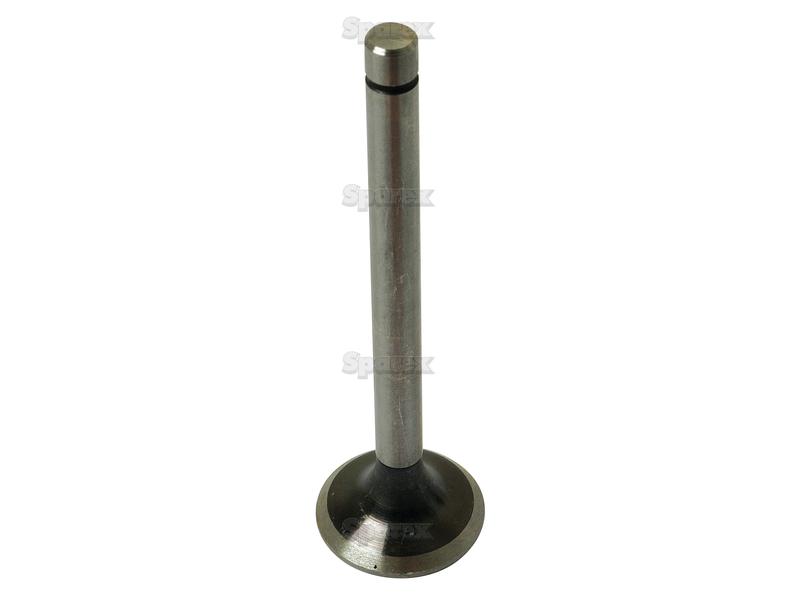 Exhaust Valve Standard-S.64104-9058