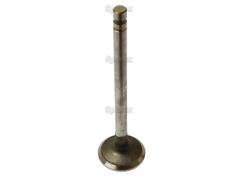 Exhaust Valve Standard-S.65706-9615