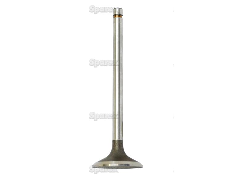 Intake Valve-S.65925-9726