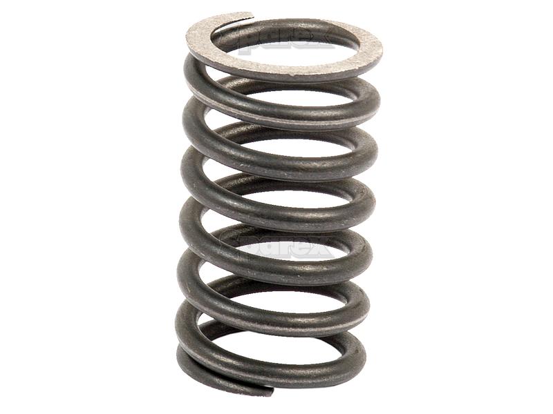 Valve Spring - Outer-S.66028-9788