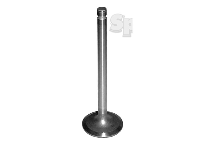 Intake Valve-S.66540-9981