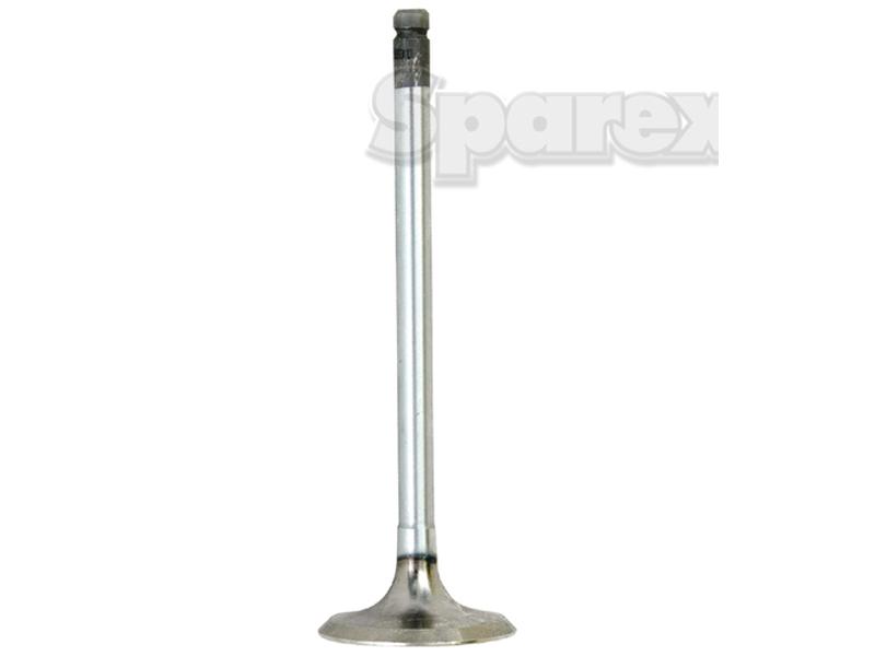 Intake Valve-S.69961-11003