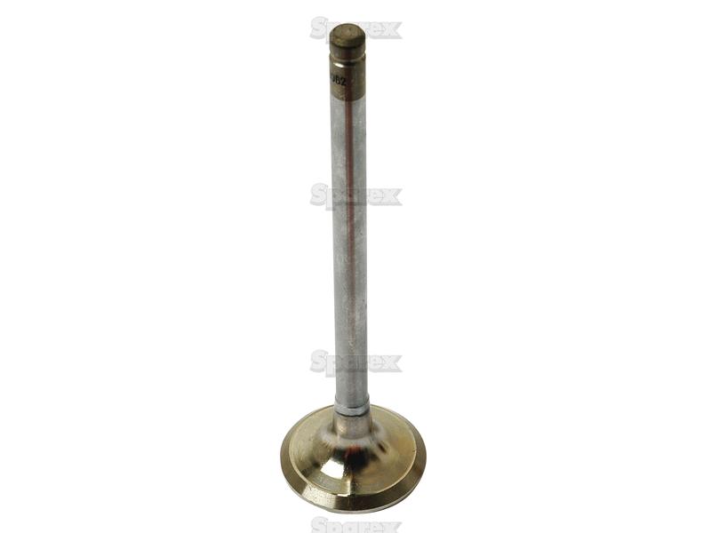 Exhaust Valve Standard-S.69962-11004