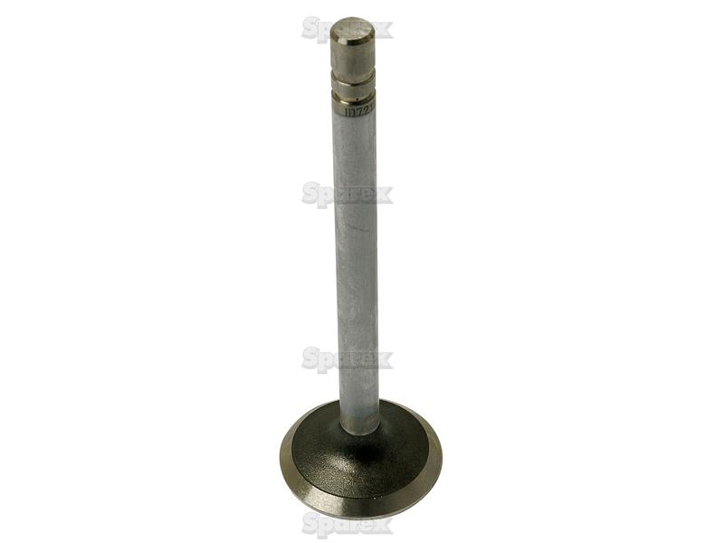 Exhaust Valve-S.72122-11302